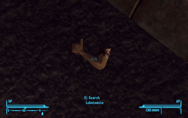 New Vegas Screenshot 7